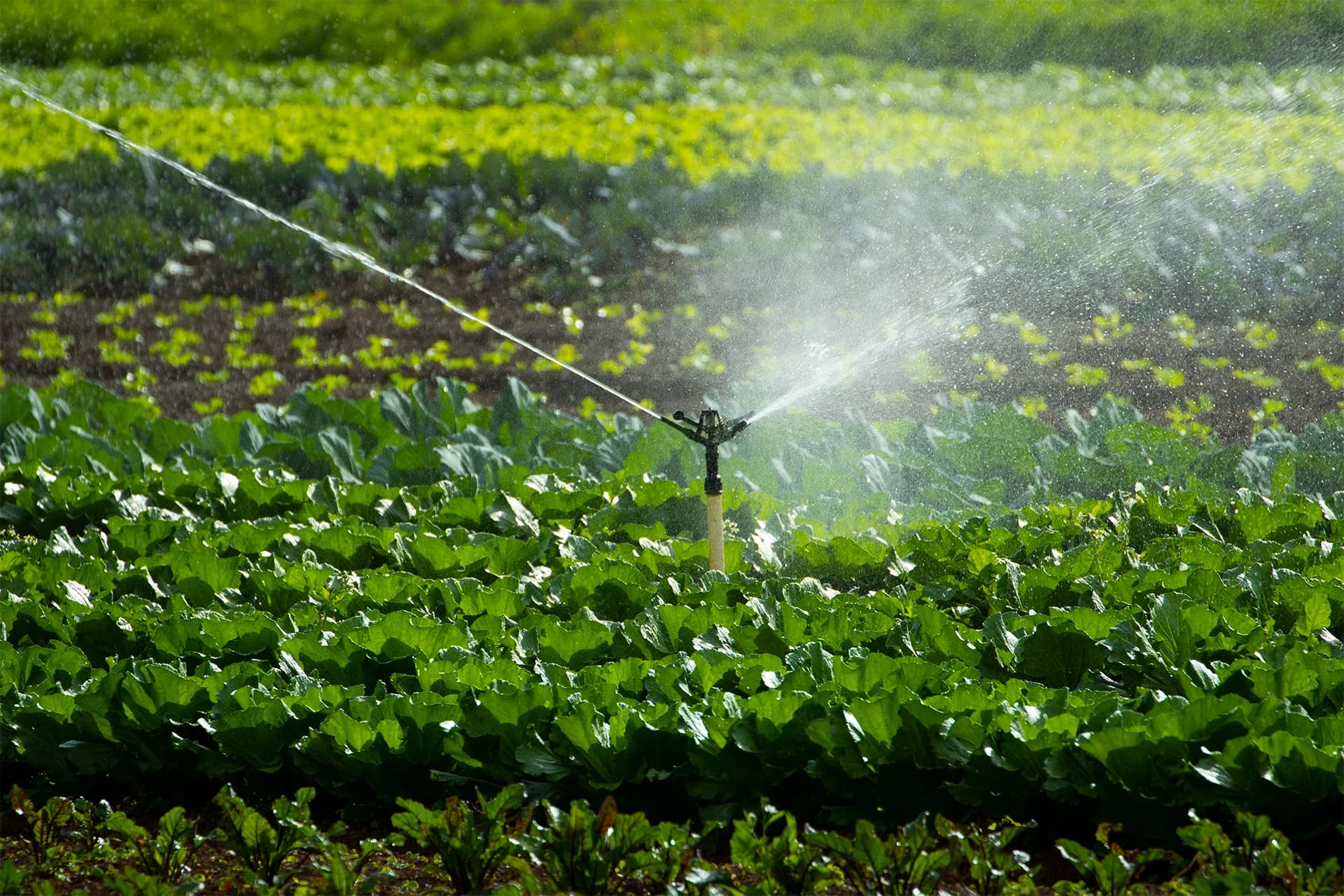 Outorgas, Gestão de Águas e Efluentes